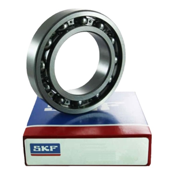 6204 Bearing